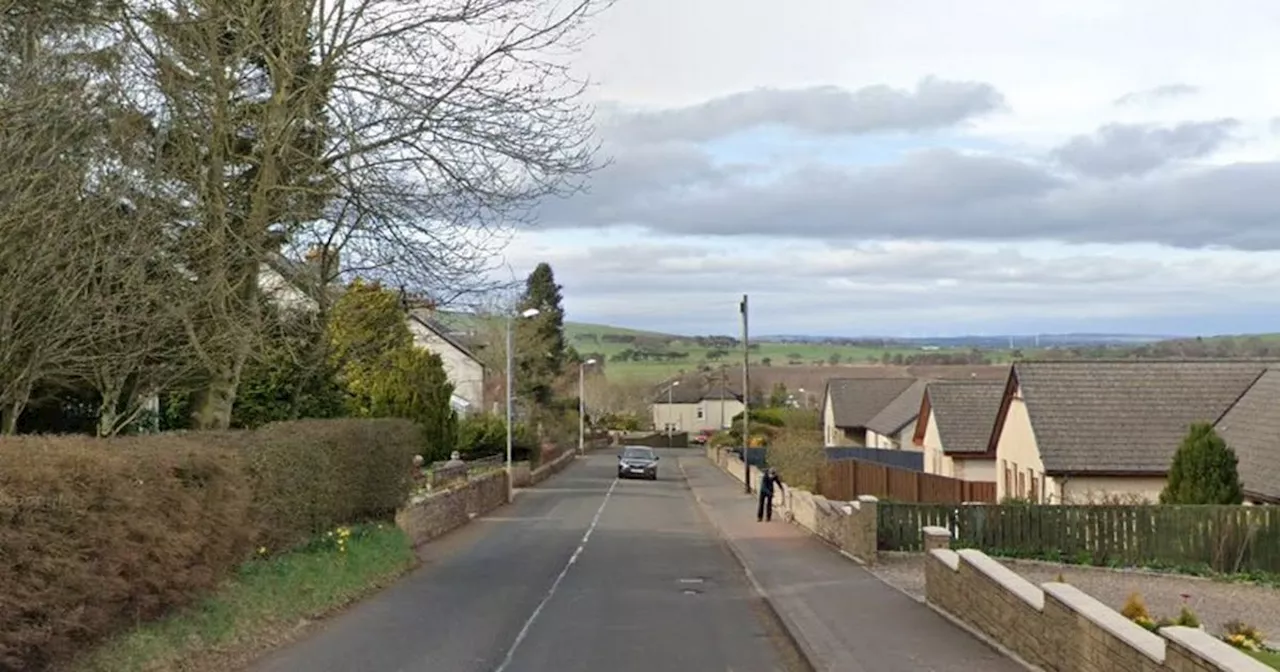 Police bust huge Lanarkshire cannabis farm worth £373,000