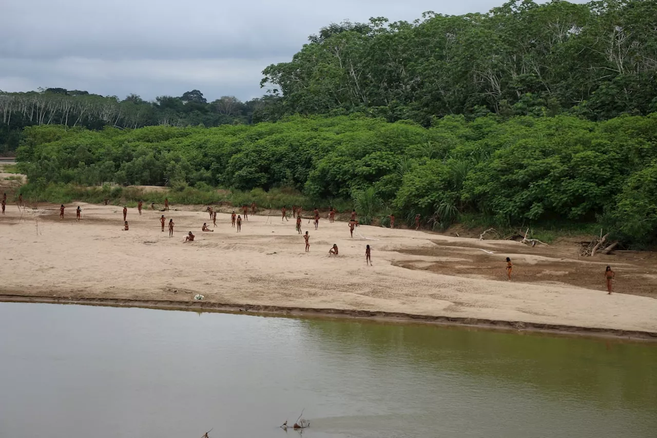 Group says photos of reclusive tribe on Peru beach show logging concessions are ‘dangerously close’