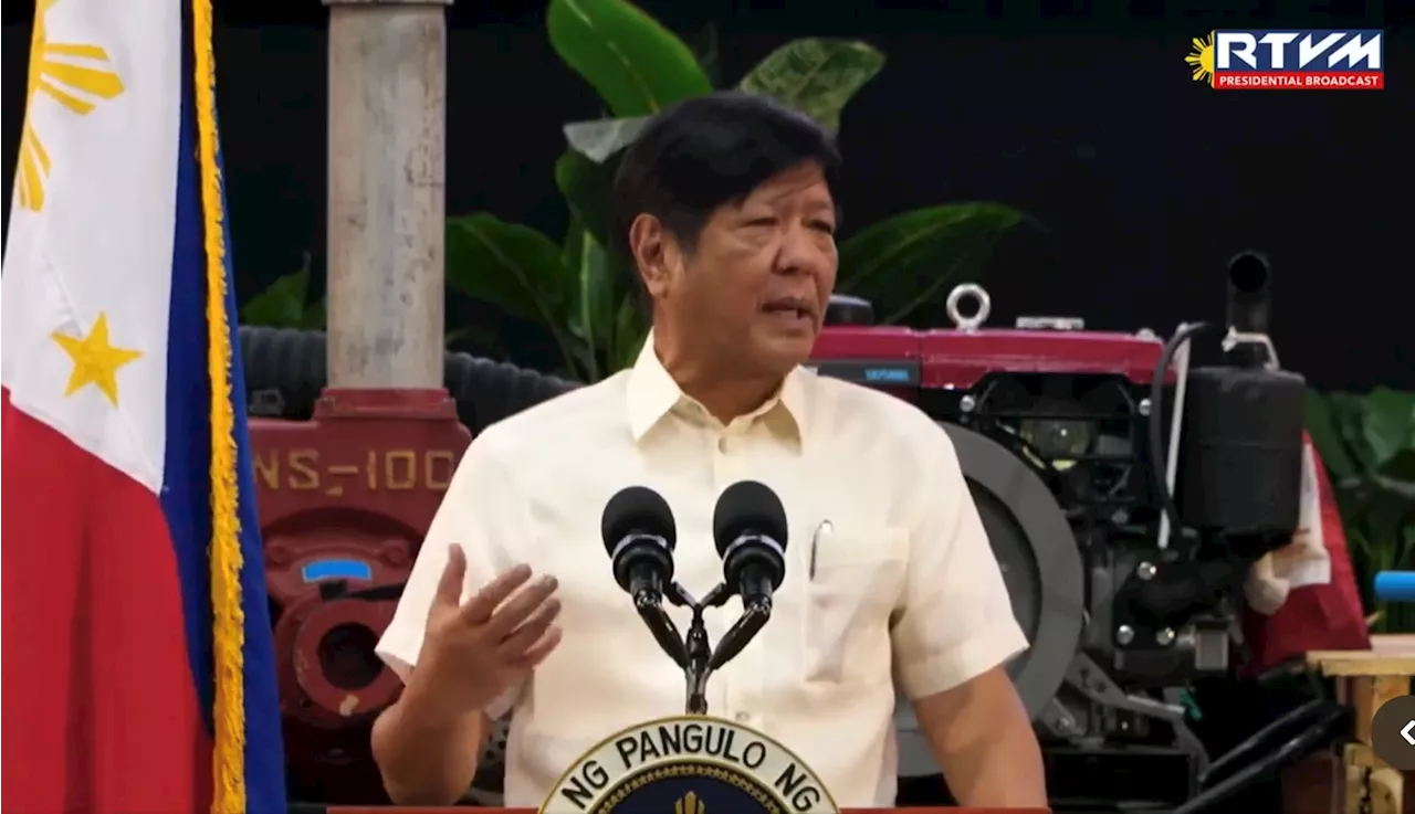 Marcos says Palawan electric supply could be improved through Maharlika Corp.