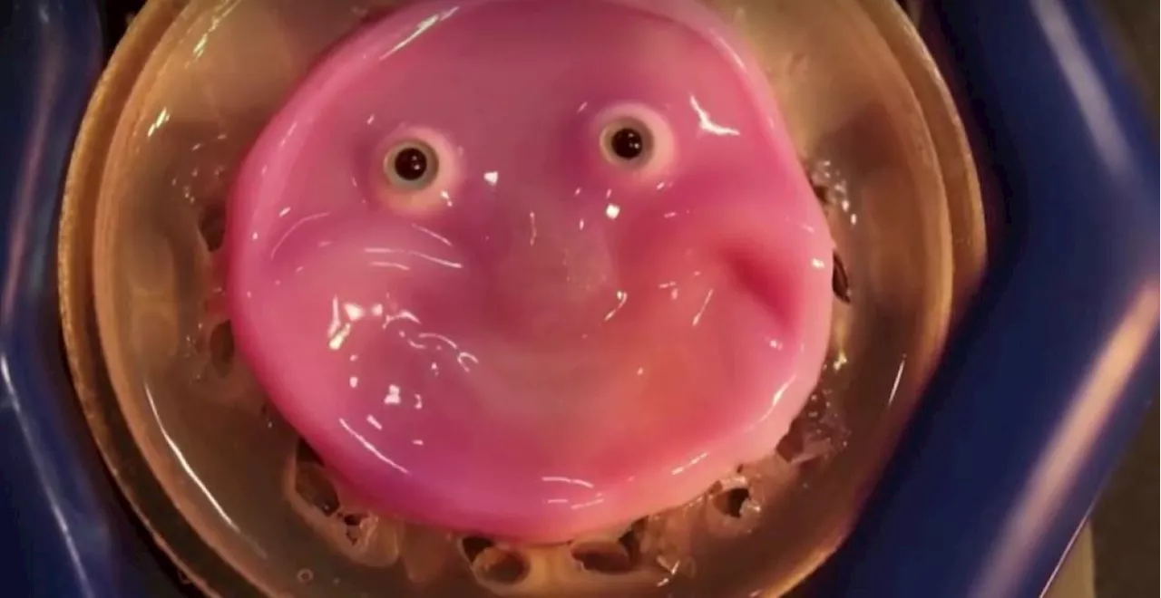 Say cheese: Japanese scientists make robot face 'smile' with living skin 