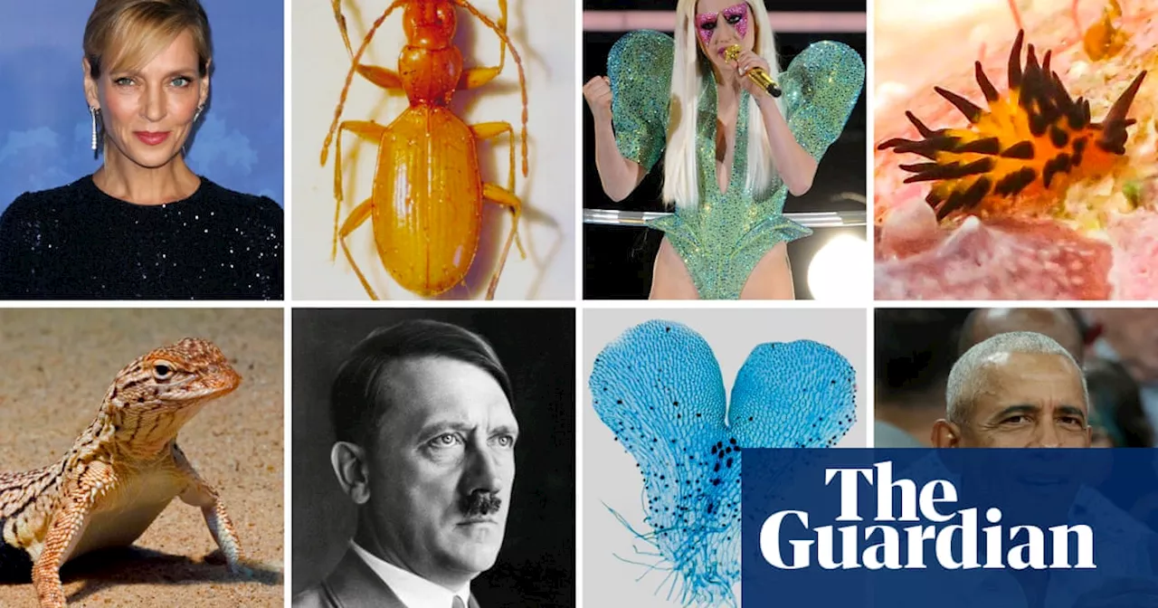 What links Lady Gaga, Obama and Hitler? How famous people can give new species a bad name