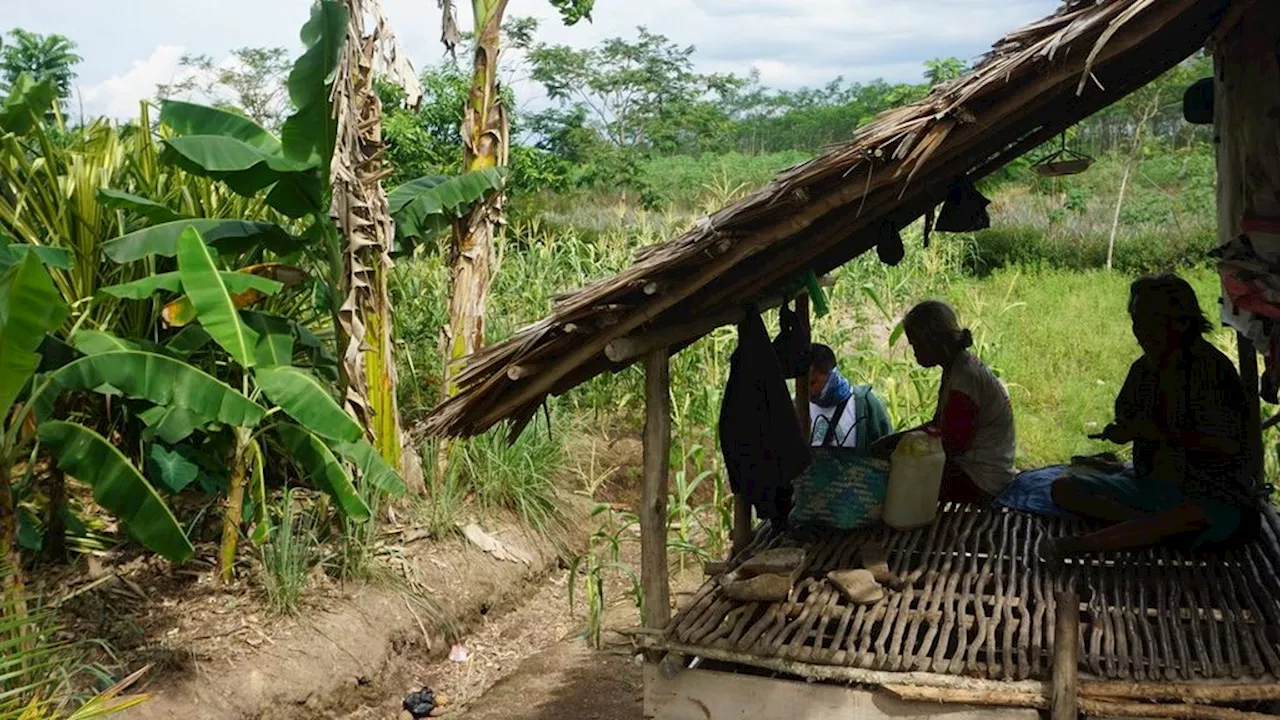 Peran Petani Perempuan di Kalteng Masih Terhalang Kebijakan