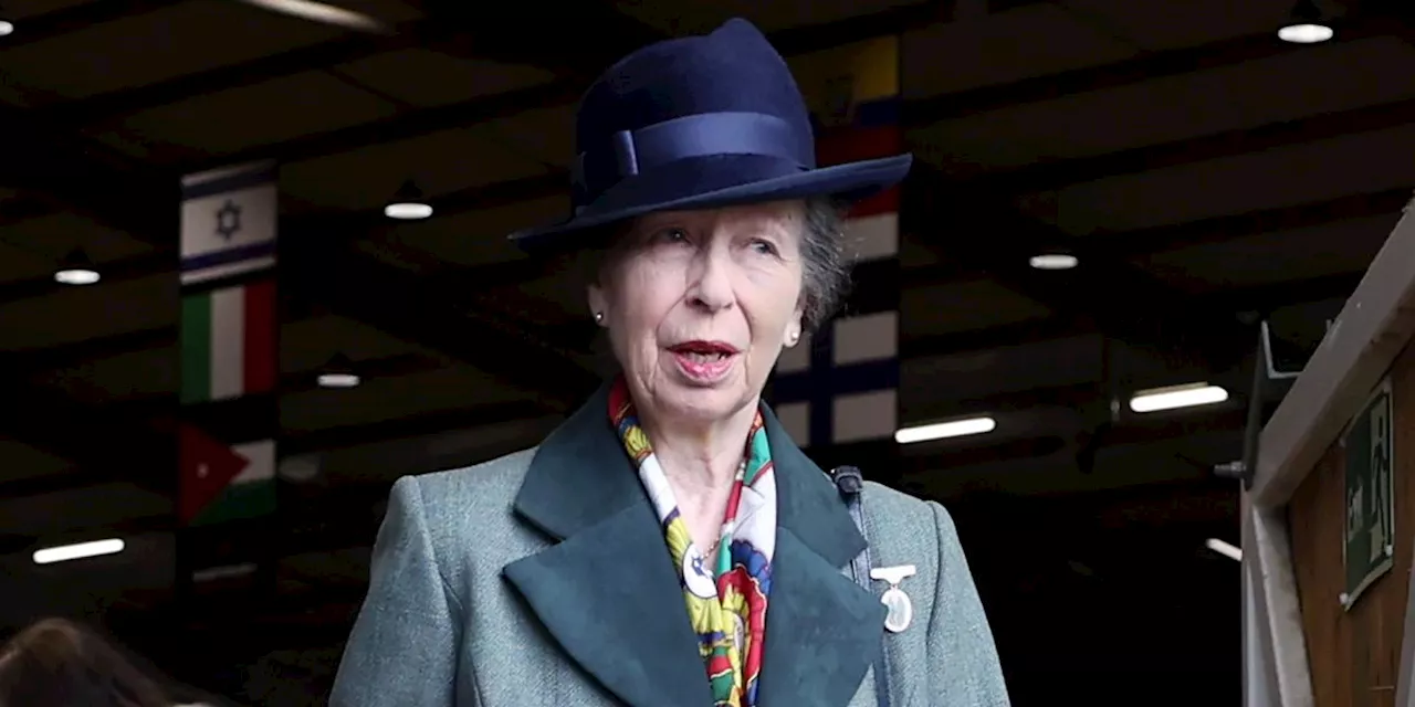 Princess Anne Cancels Her Engagements After an Incident on a Horse