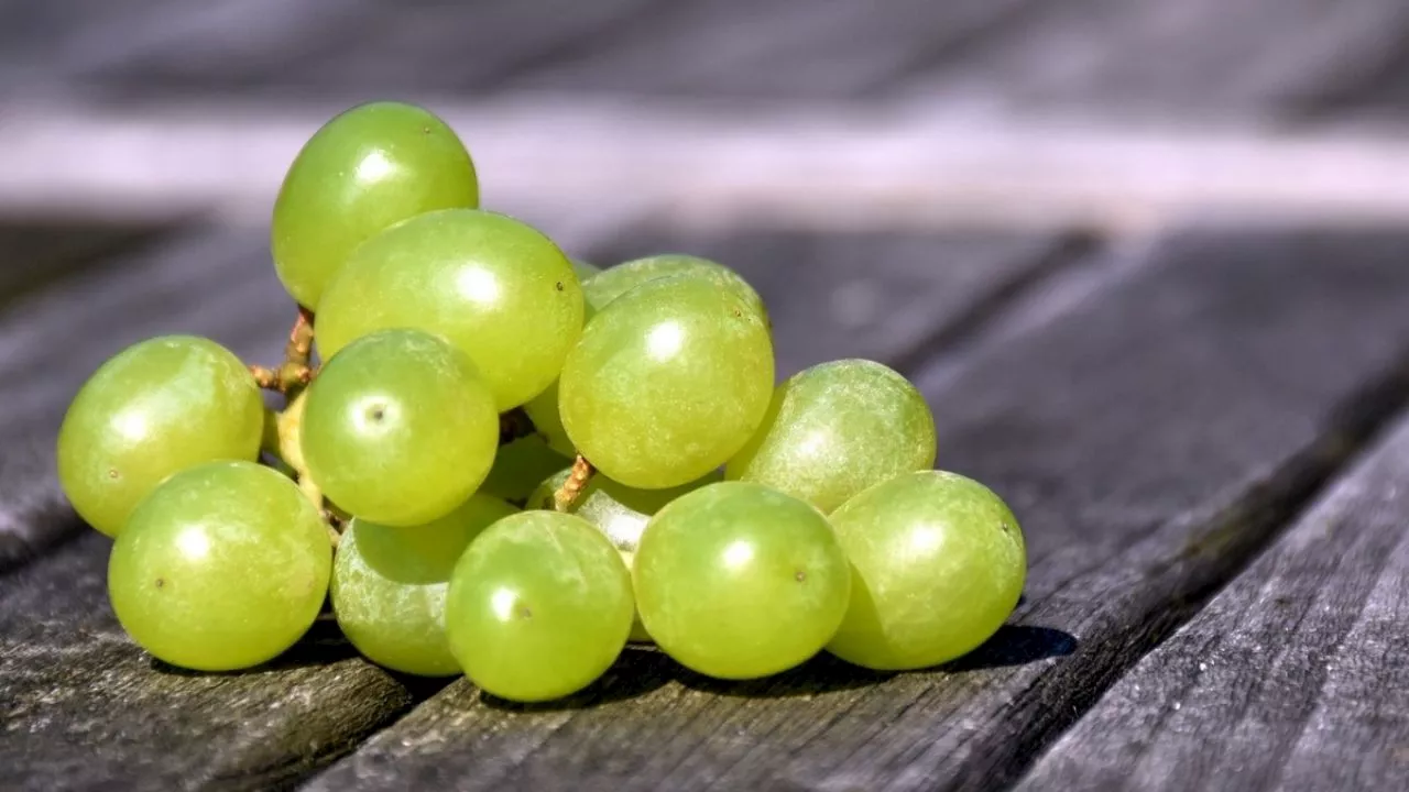 Así puedes mantener las uvas frescas y sabrosas por varias semanas