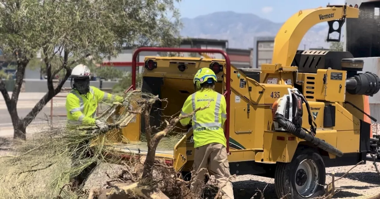 Cleanup efforts continue in Marana after Sunday's storm