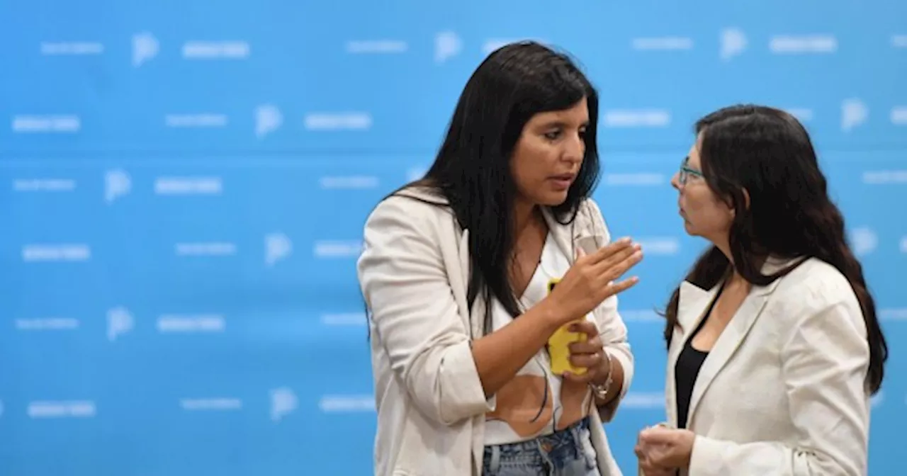 Una ministra de Kicillof cruzó al diputado que impulsó la visita a Astiz por una iniciativa contra la ley de M