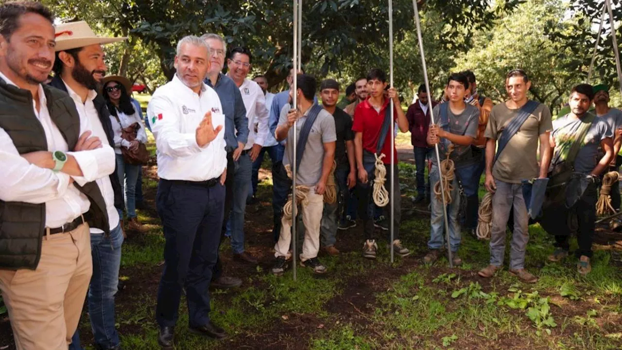 Va certificación ambiental aguacatera en Michoacán: Ramírez Bedolla