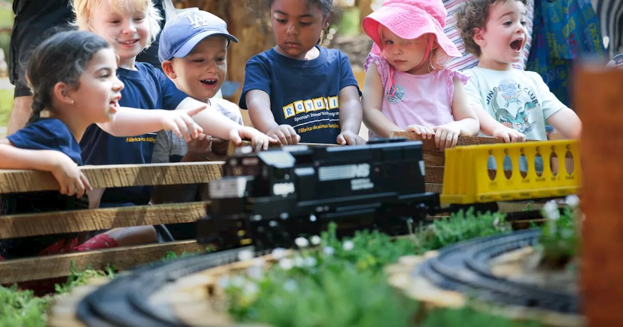 You can now ride a train through a lovely oak grove at Descanso Gardens