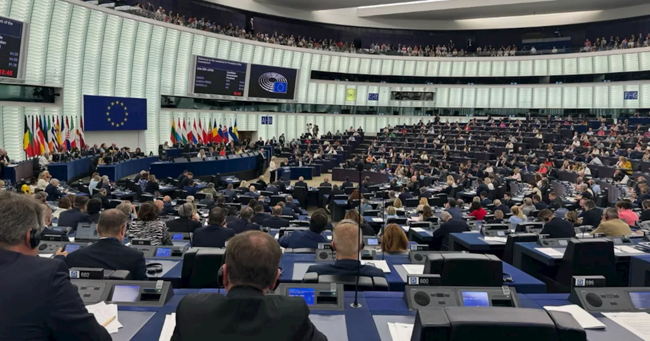 Von der Leyen parla in aula, la protesta clamorosa di Vox: il gesto del deputato spagnolo