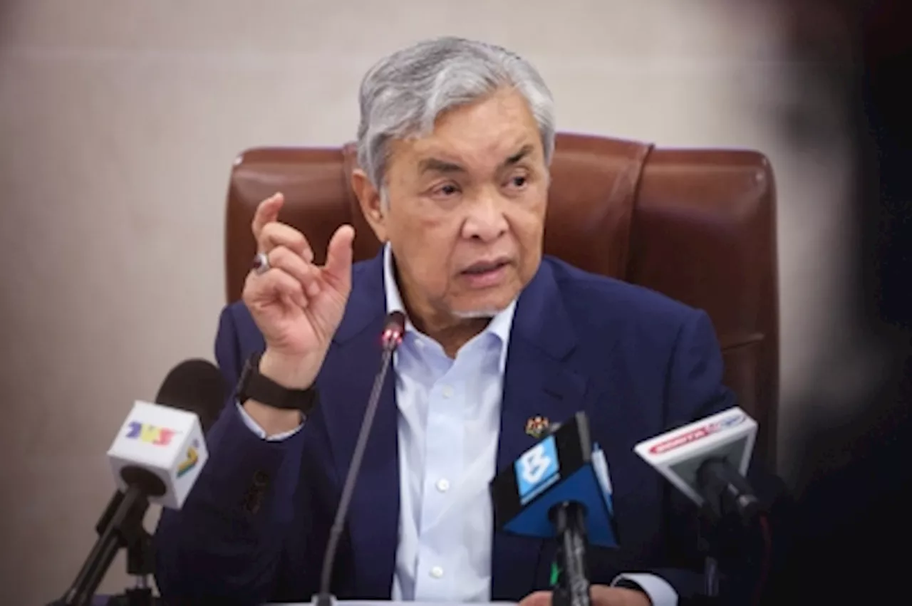 DPM Zahid says Malaysia to utilise abandoned land for halal industry expansion as non-Bumiputera firms dominate certification