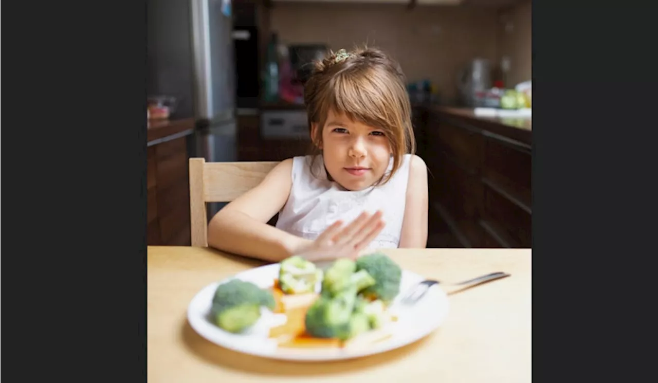 Ayah dan Ibu, Ini Tips Menghadapi Anak Picky Eater