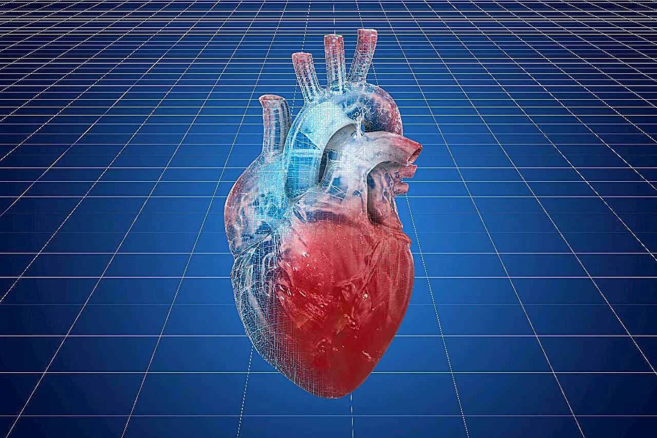 Large geographic variation seen with heart failure phenotypes