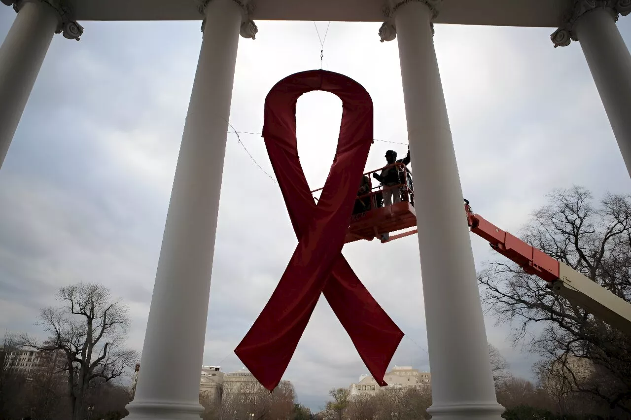 Seventh person likely 'cured' of HIV, doctors announce