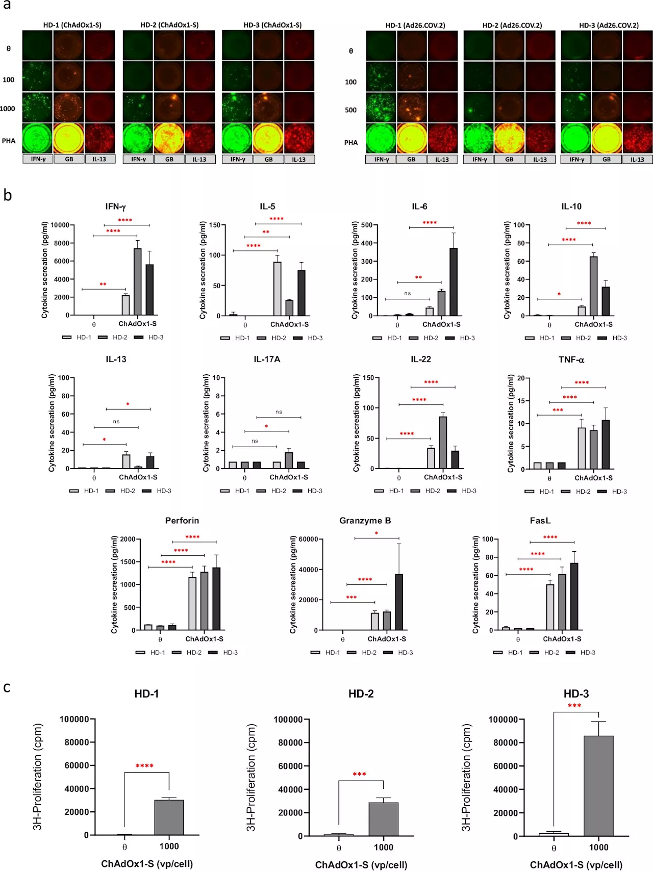 Study identifies unpredicted immune responses to adenoviral COVID-19 vaccines