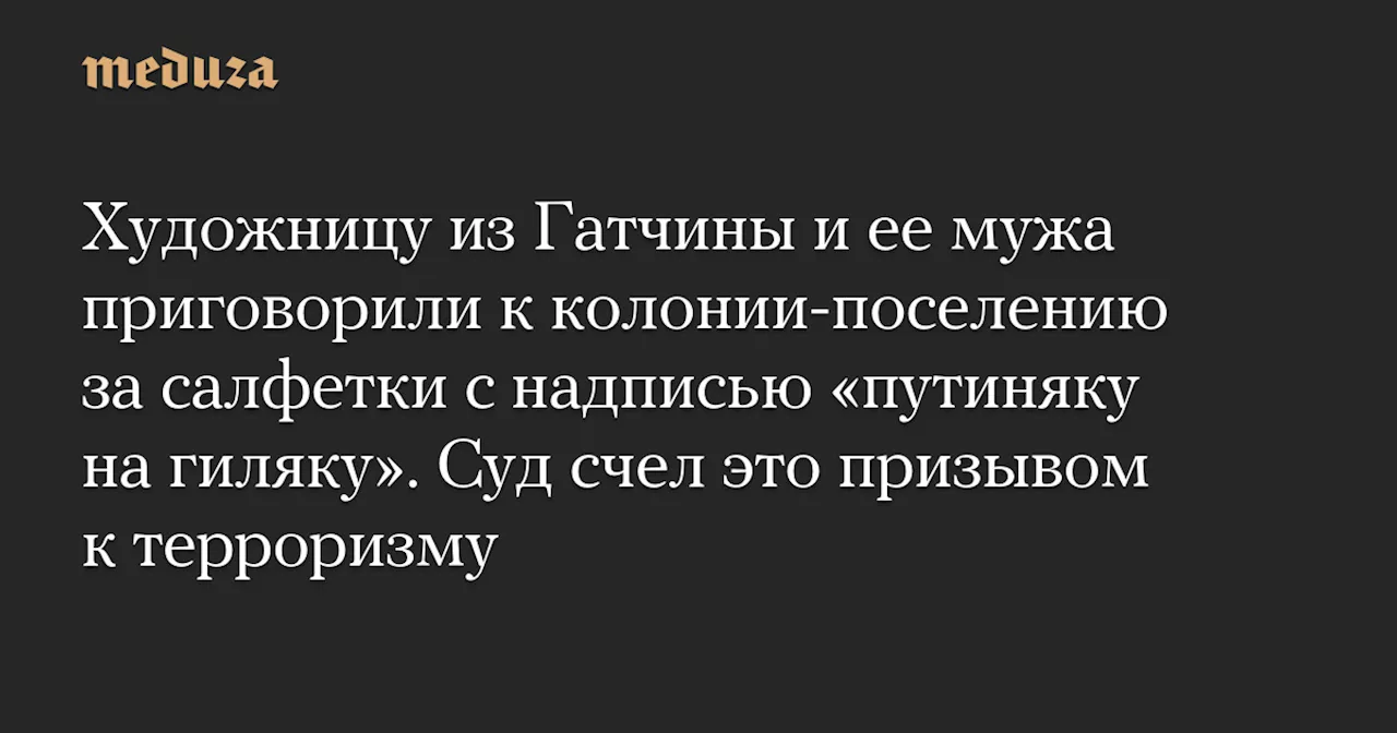 Художницу из Гатчины и ее мужа приговорили к колонии-поселению за салфетки с надписью «путиняку на гиляку». Суд счел это призывом к терроризму — Meduza