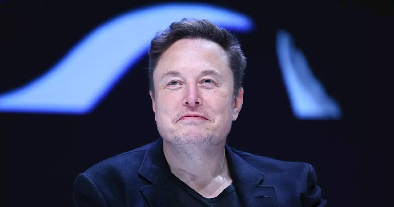 Elon Musk's tantrum is proof trans people are blamed for everything