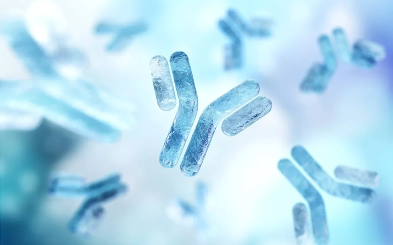 Analyzing forced antibody degradation using automated mass photometry
