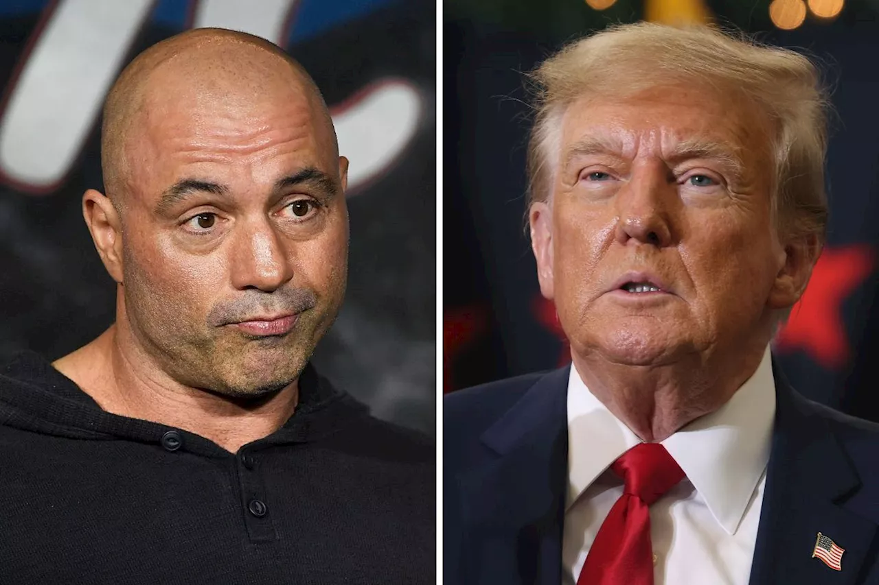 Joe Rogan's Trump Assassination Attempt Remarks Go Viral