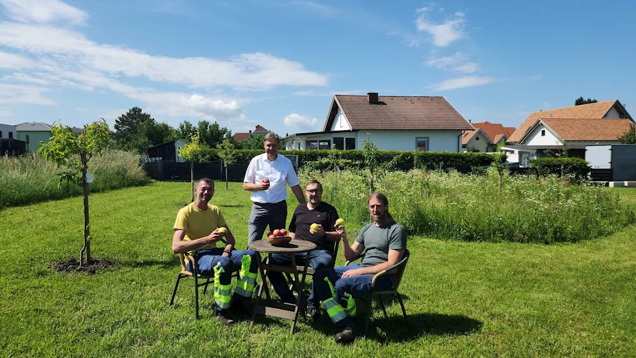 Gemeinde Hof pflanzt Obstbäume für die Bevölkerung