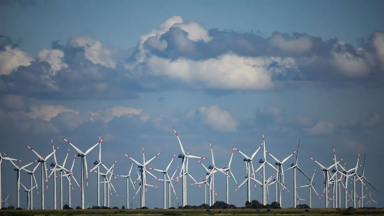 Hamburg & Schleswig-Holstein: Weniger Windräder in Schleswig-Holstein gebaut als 2023