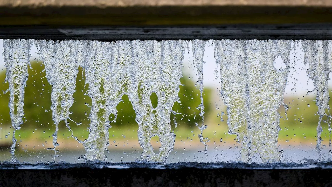 Niedersachsen & Bremen: Landesbetrieb: Grundwasserstände haben sich erholt