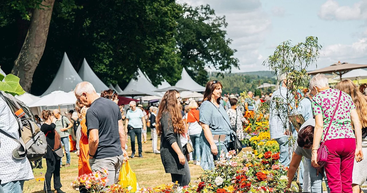 Das gibt’s Neues beim Gartenfest in Corvey