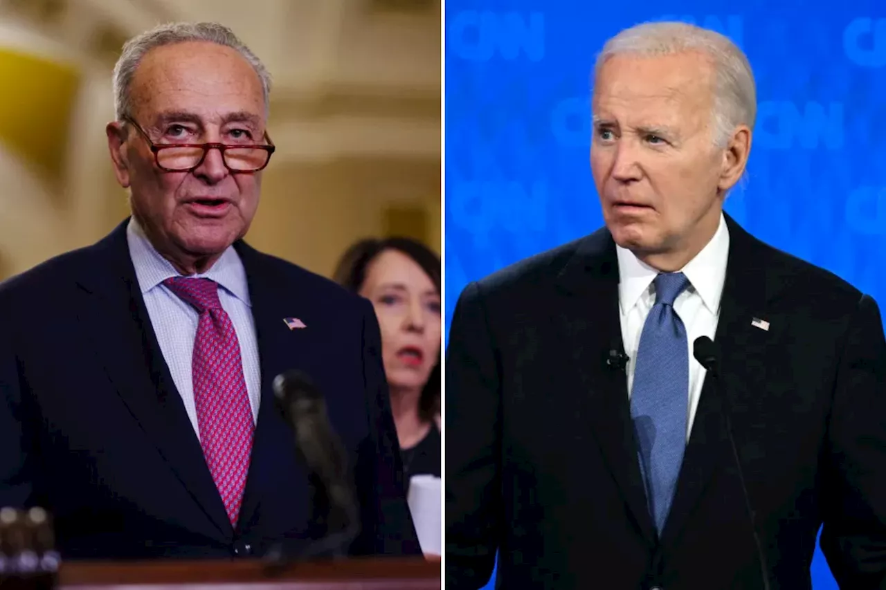 Sen. Chuck Schumer 'forcefully' shared Democratic concerns with Biden about remaining on the 2024 ticket: report