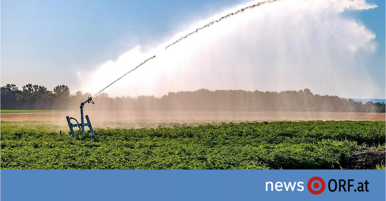 Wasserknappheit: Studie löst Politdebatte aus