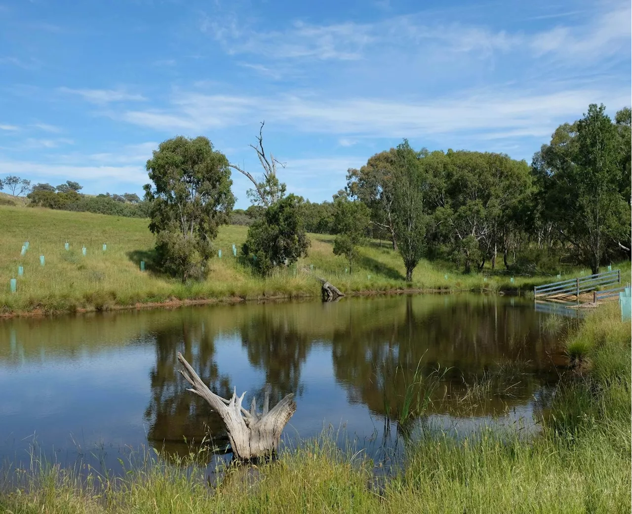 Better dams offer major benefits to farmers and livestock