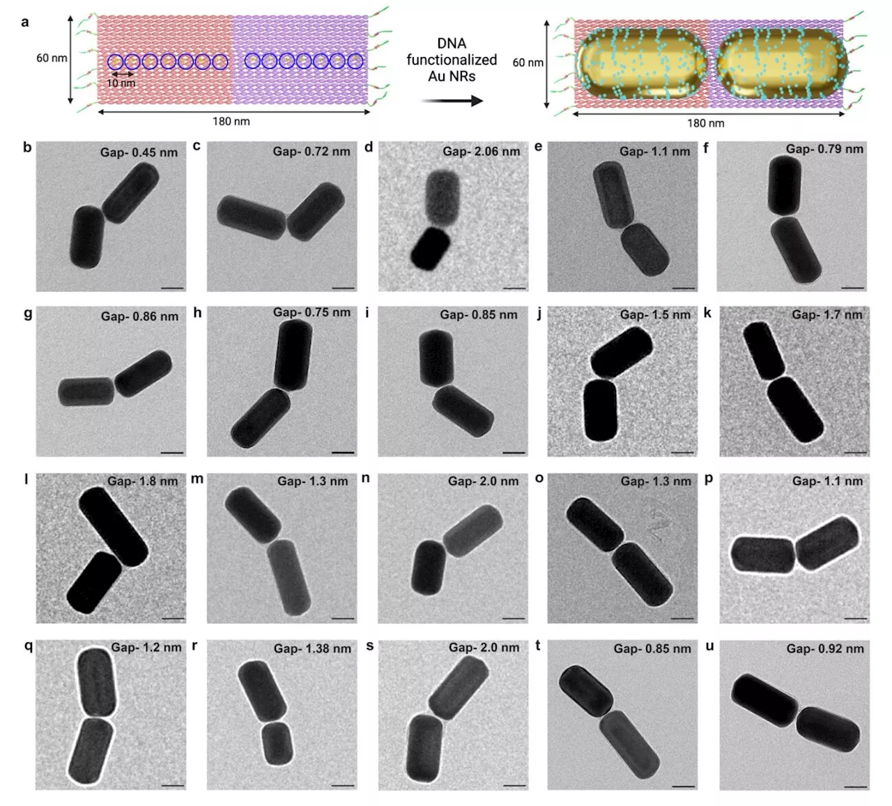 New technique to diagnose cancer metastasis uses origami nanoprobes