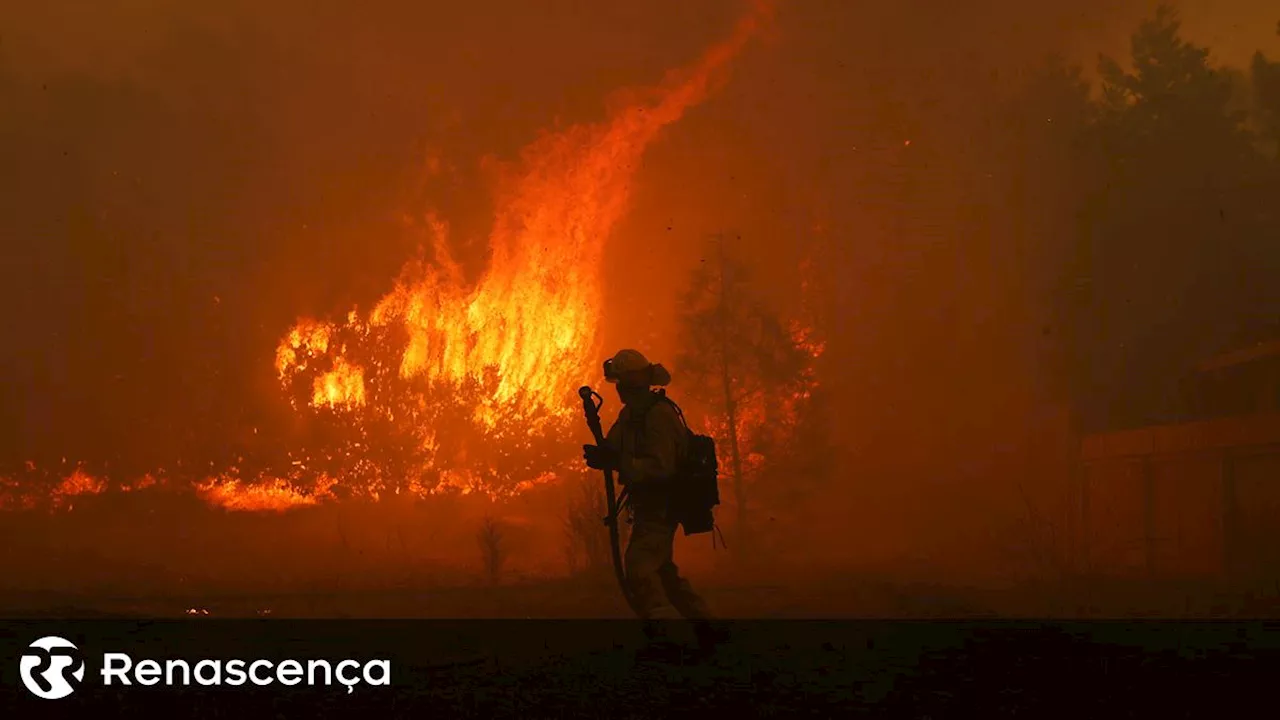 Mais de 350 operacionais e 15 meios aéreos combatem incêndios em Pombal e Serpa