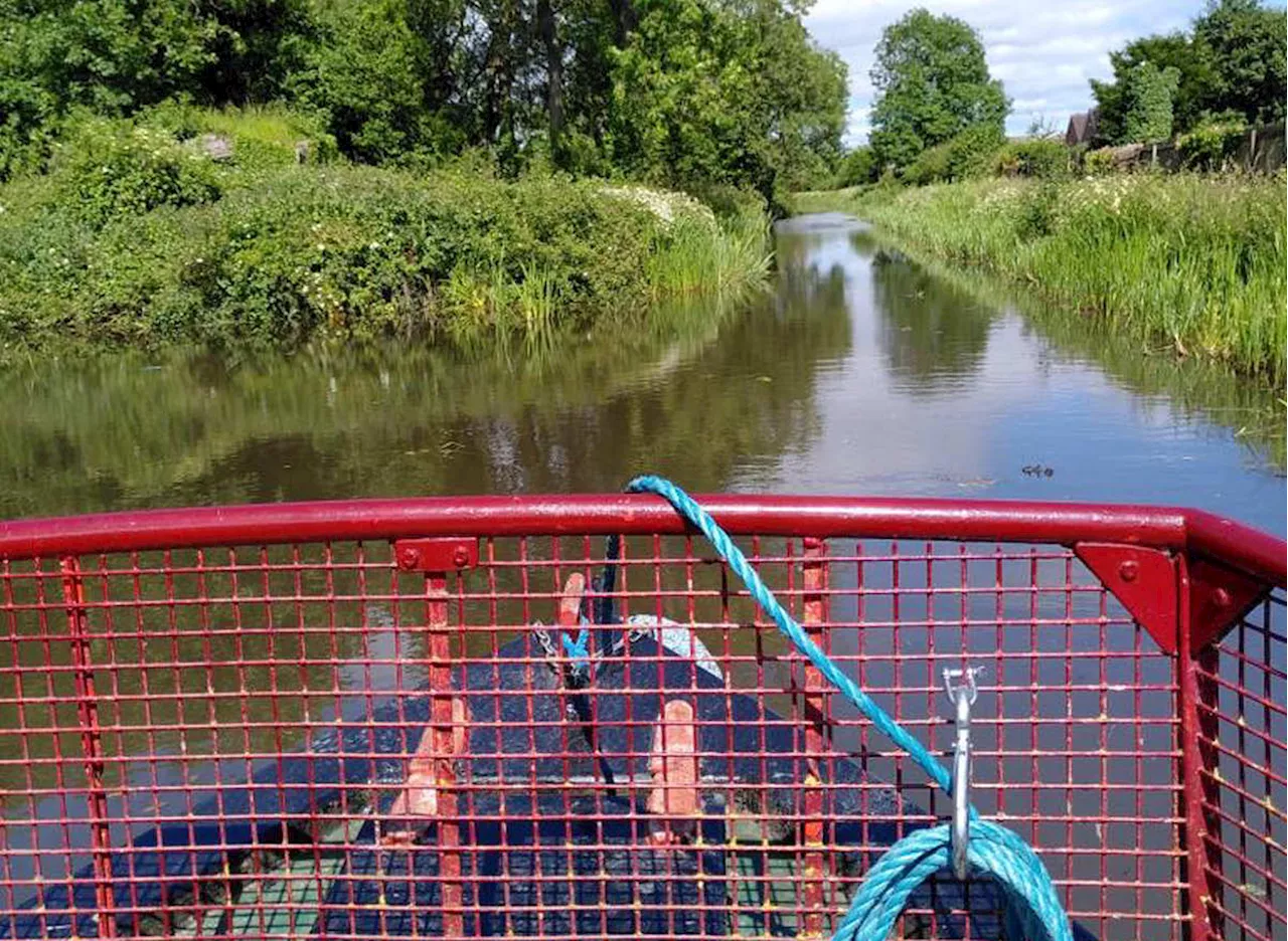 Voluntary organisations seek locals to join them in working on Montgomery Canal