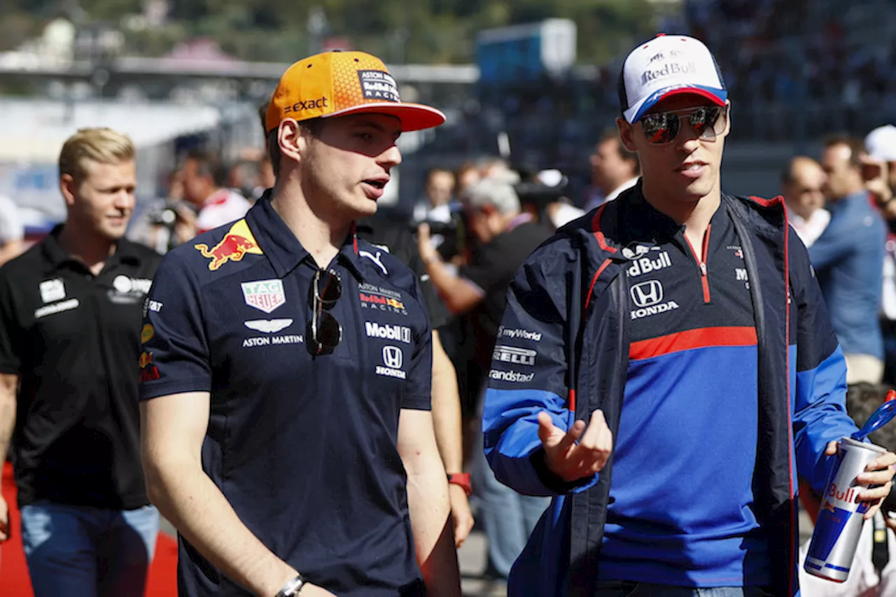 Marko: So kam es zu Verstappens-Red-Bull-Aufstieg