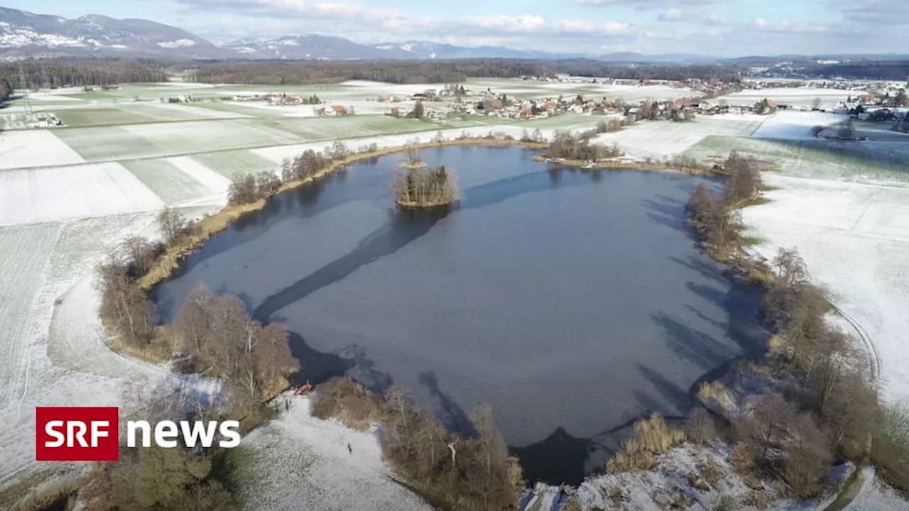 Pfahlbauten im Inkwilersee können vor Biber geschützt werden