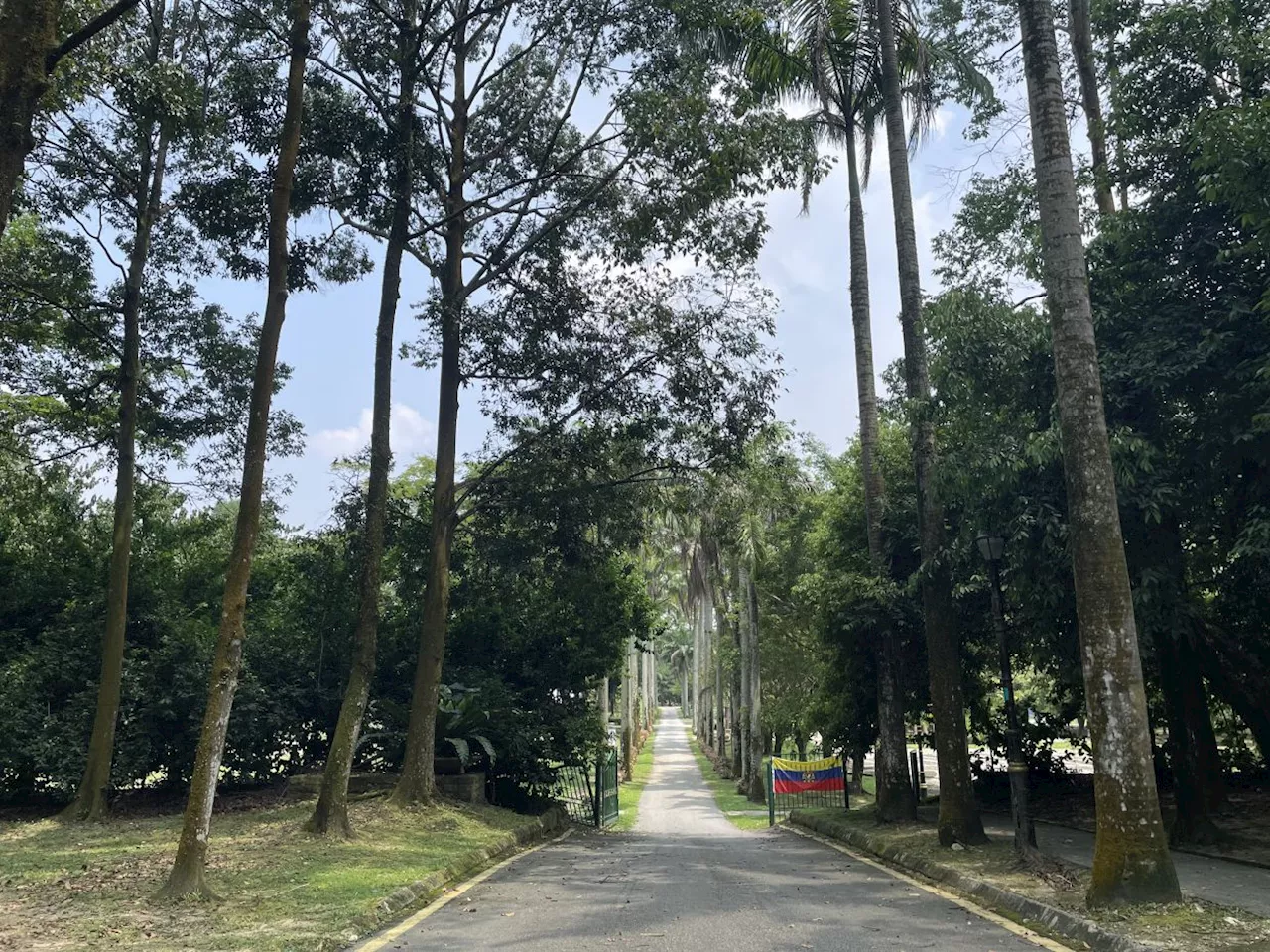 Residents welcome Cabinet’s decision on Taman Rimba Kiara
