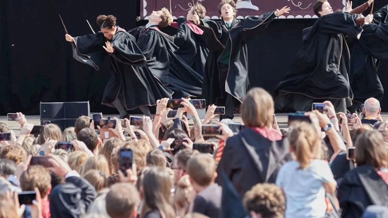 Harry Potter: Fantreffen für Harry-Potter-Anhänger in Hamburg geplant