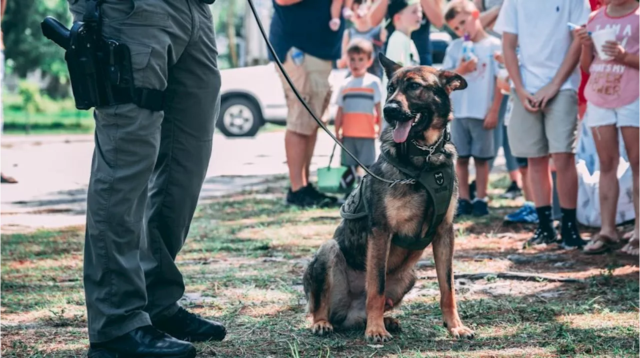 Cerita Seorang Nenek di Palestina Jadi Korban Serangan Anjing Militer Israel saat Hendak Tidur