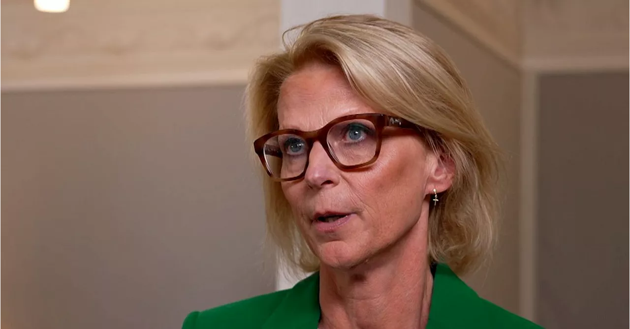 Finansminister Elisabeth Svantesson om beskatta turister i Sverige: ”Ganska dålig idé”