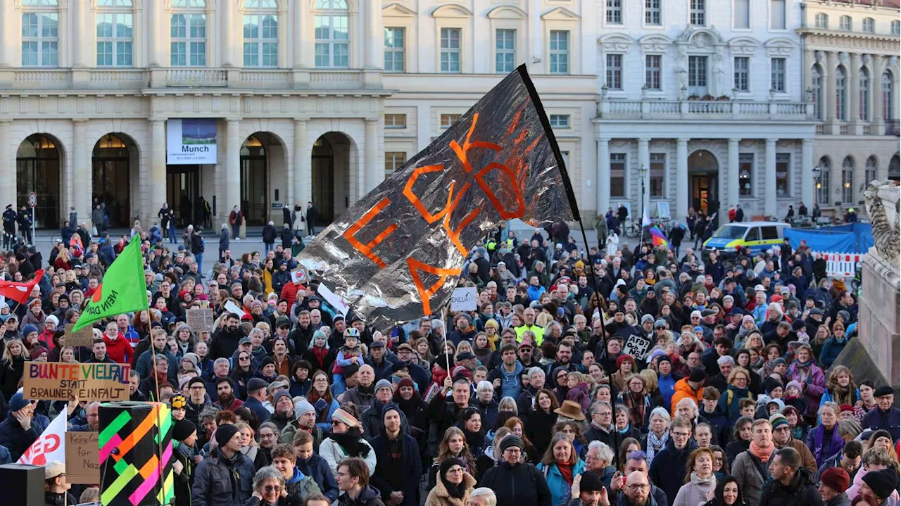 700 Unterschriften: Offener Brief gegen AfD-Vorsitz des Potsdamer Kulturausschusses