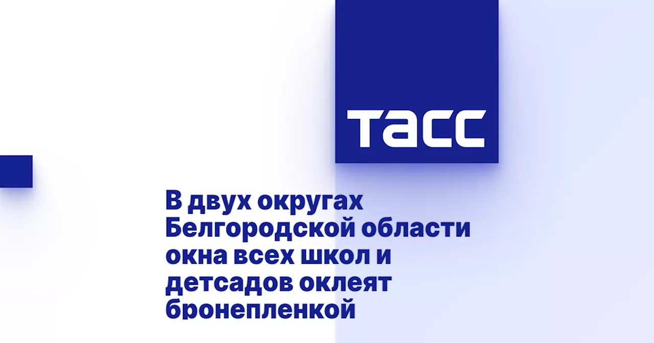 В двух округах Белгородской области окна всех школ и детсадов оклеят бронепленкой