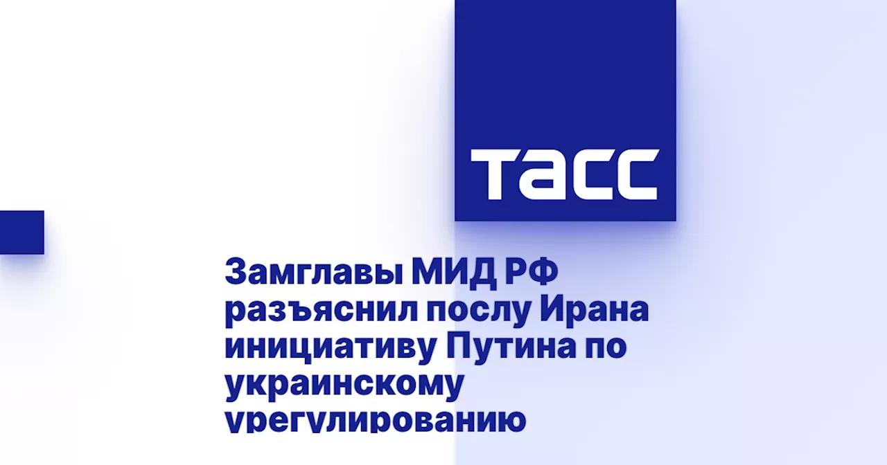 Замглавы МИД РФ разъяснил послу Ирана инициативу Путина по украинскому урегулированию