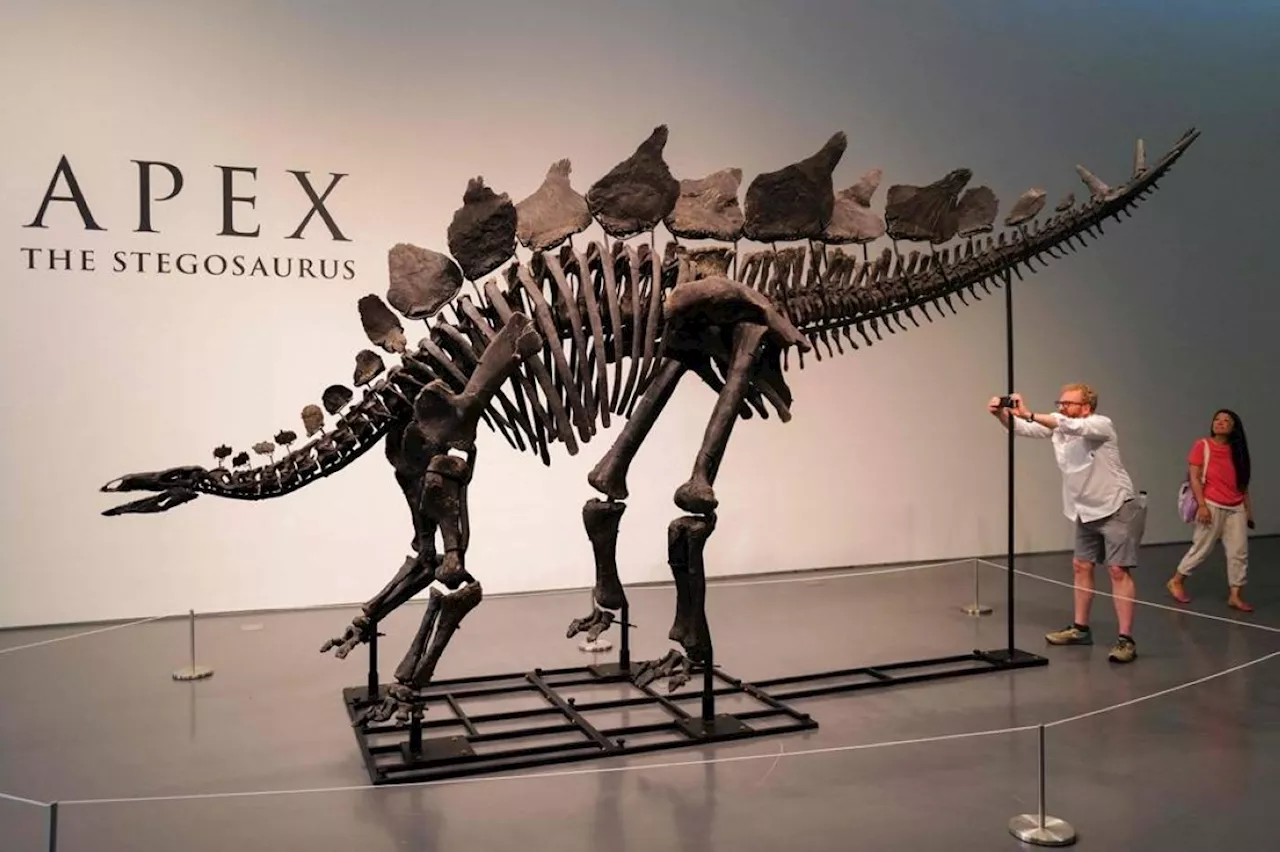 Dinosaur skeleton sold for record $44.6 million