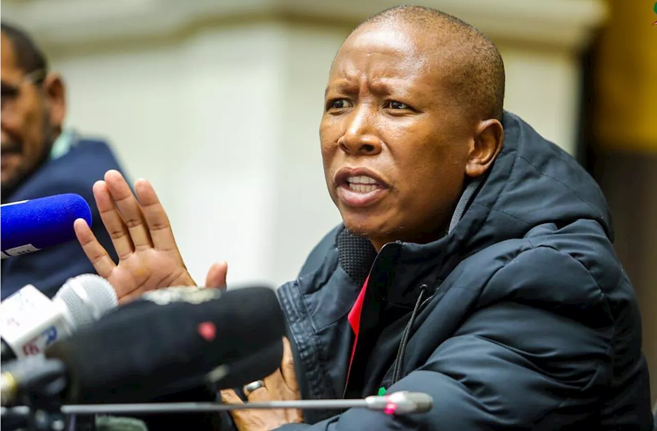 We are going to reward Panyaza for snubbing DA, says EFF’s Malema