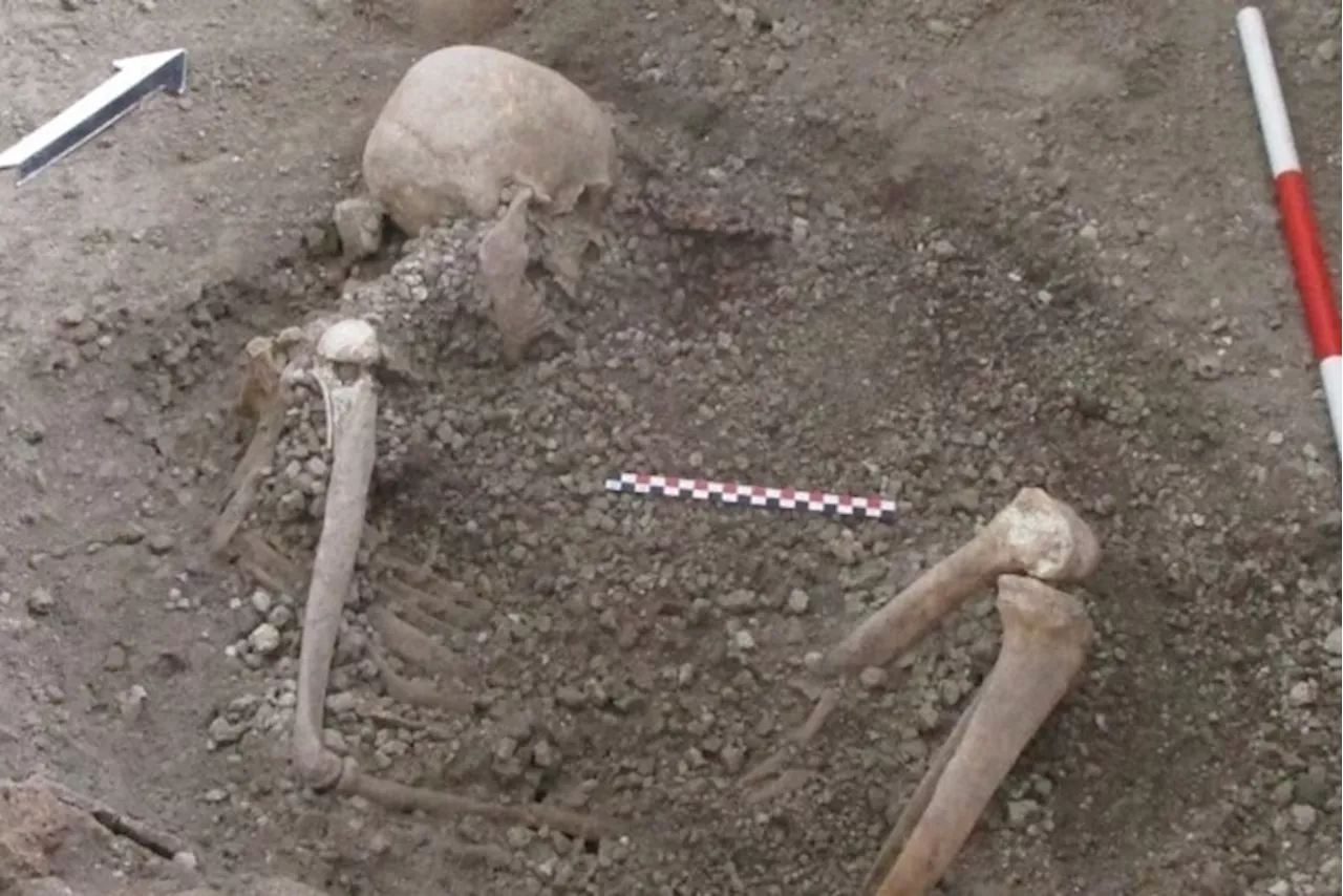 Skeletons discovered at Pompeii show earthquake added to disaster