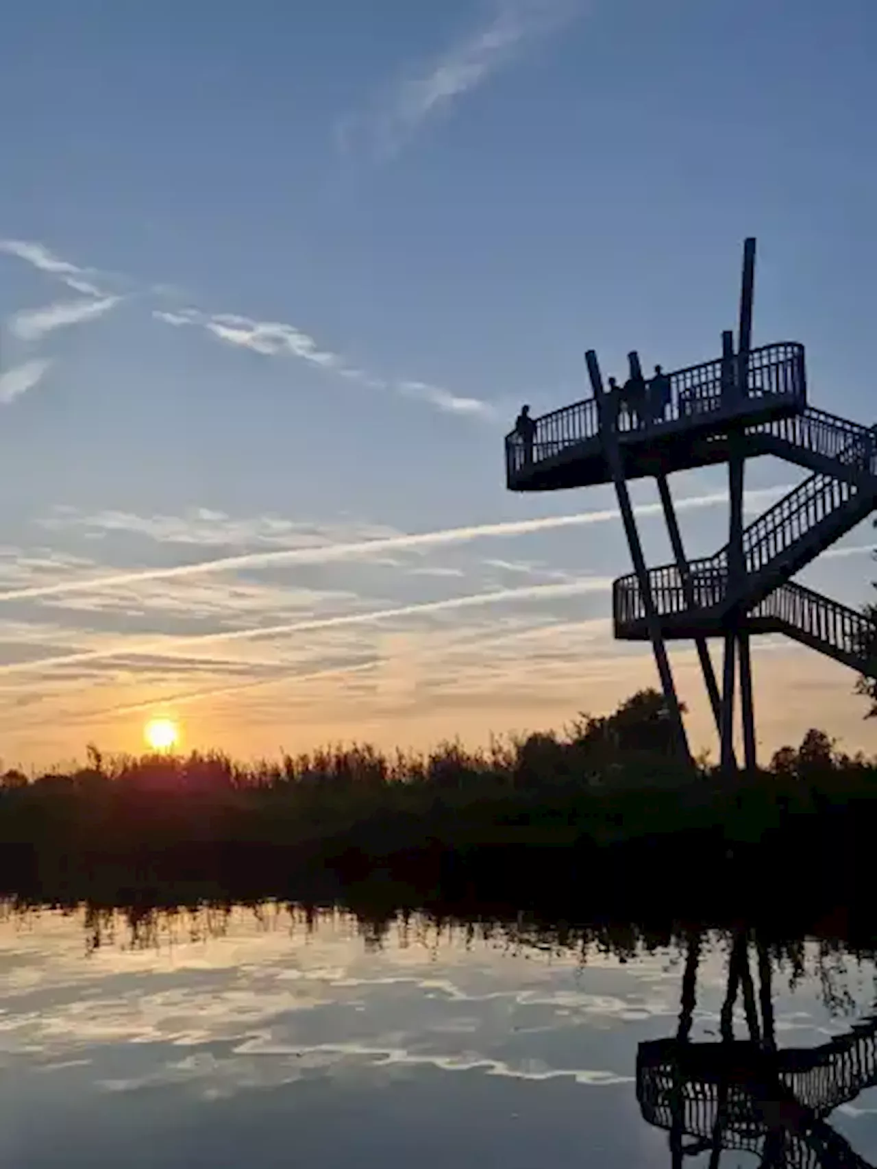 Radtour durch Hammeniederung mit Biologischen Station Osterholz