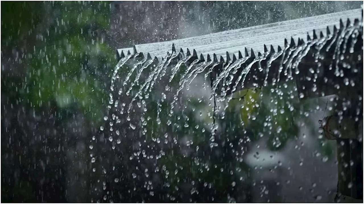 Kerala rain: സംസ്ഥാനത്ത് പെരുമഴക്കാലം; ഇന്ന് 2 ജില്ലകളിൽ റെഡ് അലർട്ട്, നാളെയും മഴ കനക്കും