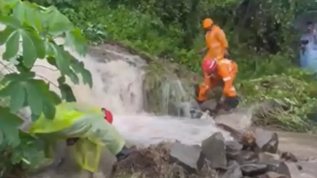 Kerala Rain: വയനാട് ജില്ലയിൽ വിദ്യാഭ്യാസ സ്ഥാപനങ്ങൾക്ക് അവധി; 10 ജില്ലകളിൽ ഓറഞ്ച് അലർട്ട്, 4 ജില്ലയിൽ യെല്ലോ അലർട്ട്