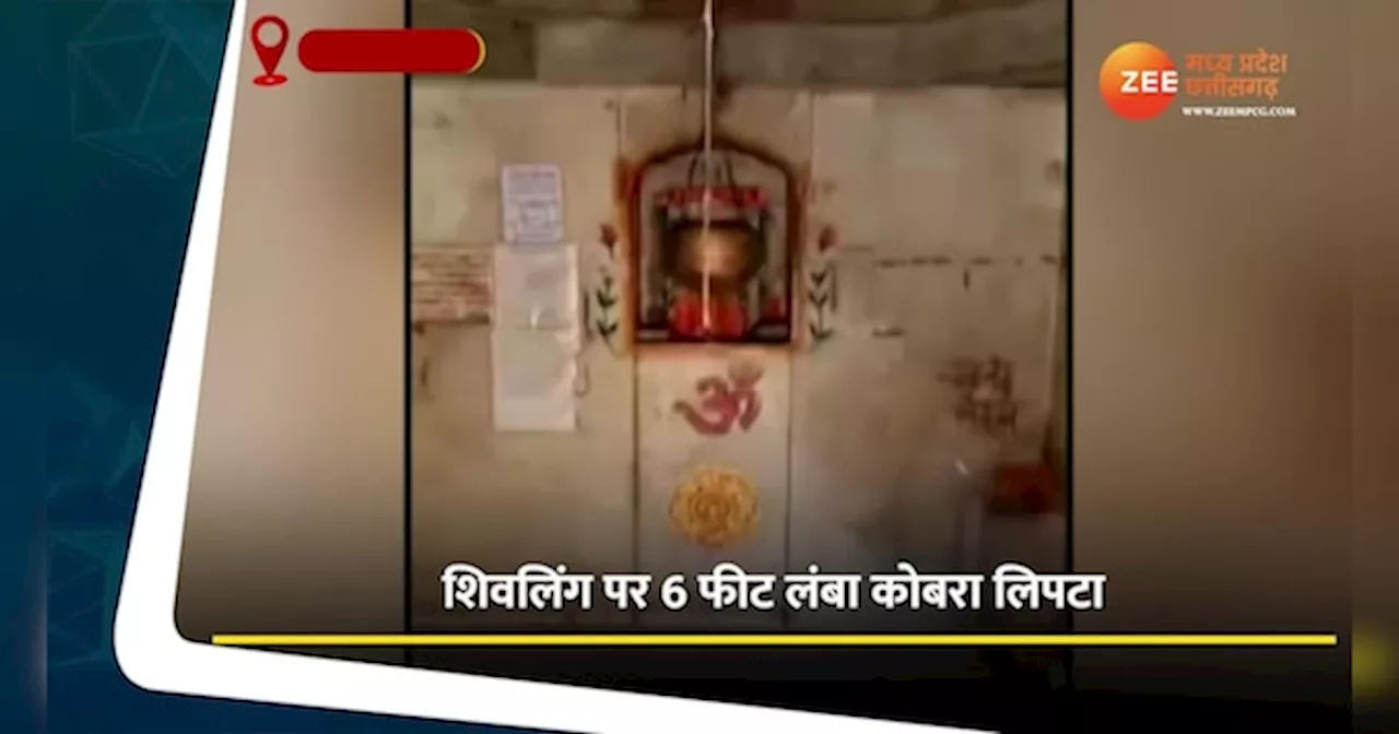 VIDEO: मंदिर में ऐसा चमत्कार देख हैरान लोग, ओंकारेश्वर महादेव की घटना