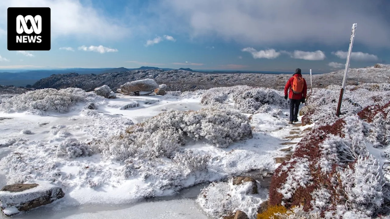 Cold front moving across Australia's south-east forecast to bring strong winds, hail, rain and snow