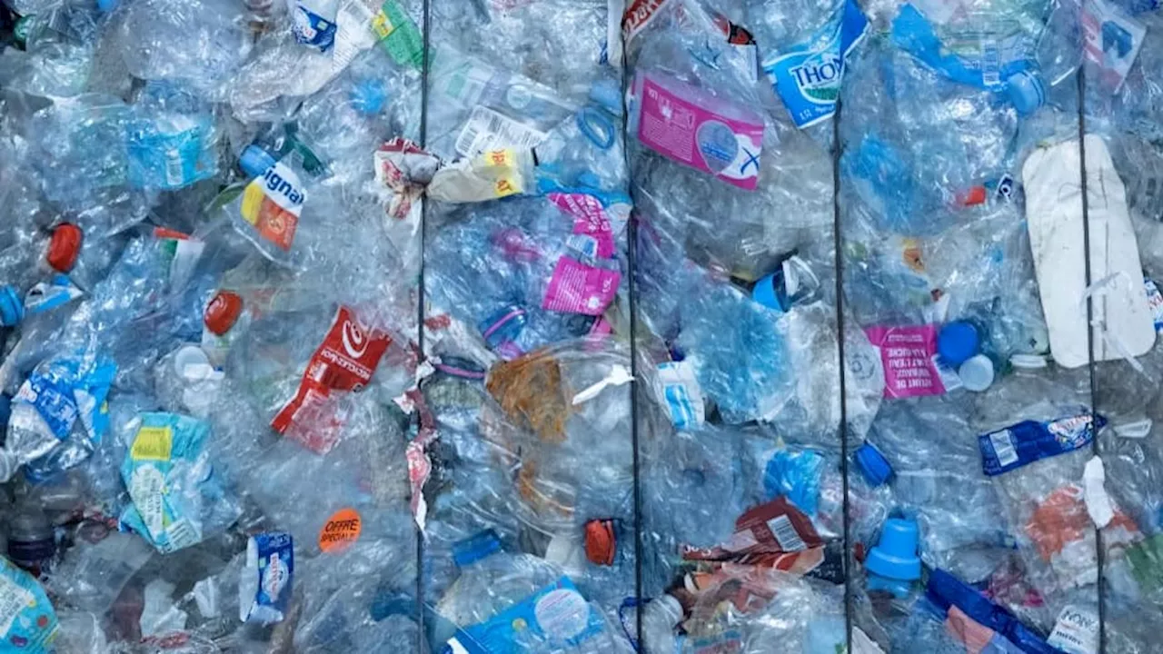 Le gouvernement fédéral américain va arrêter d'acheter des plastiques à usage unique